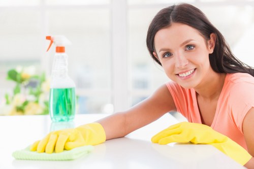 Professional carpet cleaning in Camden for a bright living room