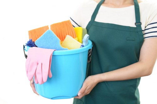 Professional mattress cleaning service in Camden removing dust and stains