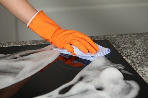 Professional carpet cleaning process in a residential property