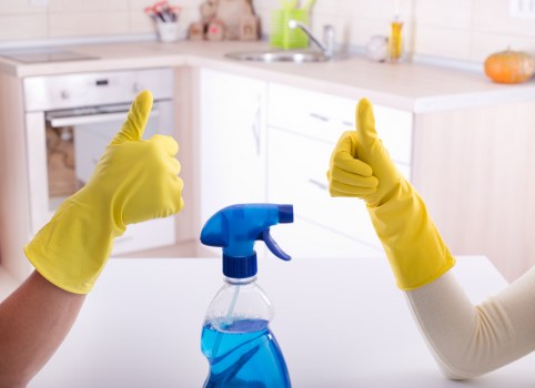 Immediate response to a fresh pet accident for odour control