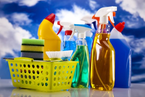 Camden carpet cleaners providing professional carpet care in a home interior