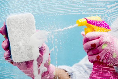 Visual of a technician assessing a carpet cleaning concern during inspection