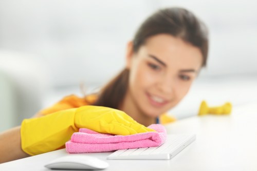Professional upholstery cleaning in a Camden living room