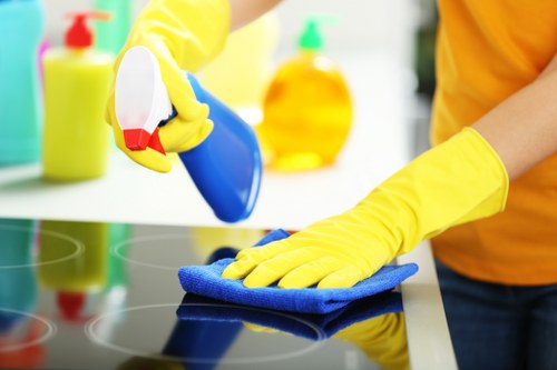Steam carpet cleaning service restoring carpet fibres