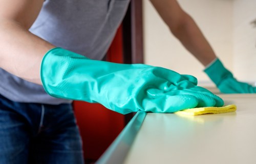 Cleaning pet stains and odours from upholstery in a Camden home