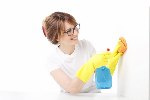 Step-by-step rug cleaning process in Camden