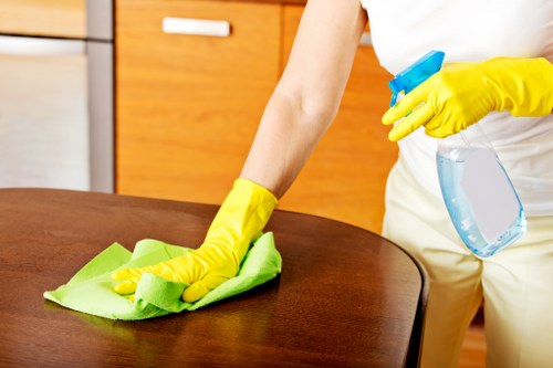 Illustration representing a secure and efficient Camden Carpet Cleaners website